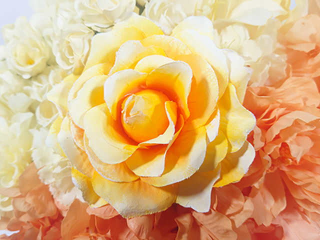 楽屋花アレンジ/オリジナルグラデーションローズ/Yatsugi Flower Dye Lab(八ツ木フラワーダイラボ)