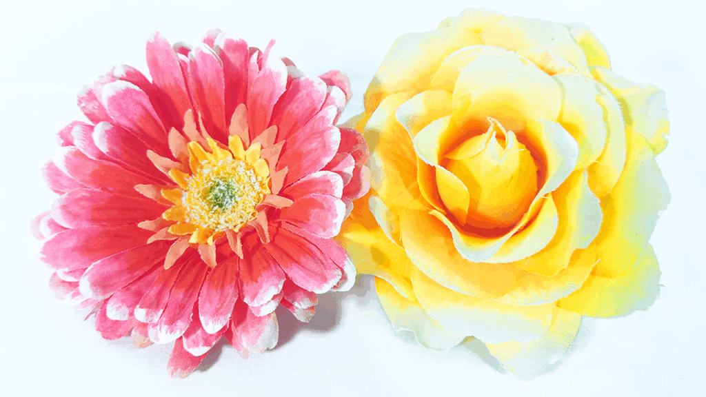 カラーコード指定／オリジナルカラー／グラデーション／Yatsugi Flower Dye Lab（八ツ木フラワーダイラボ）