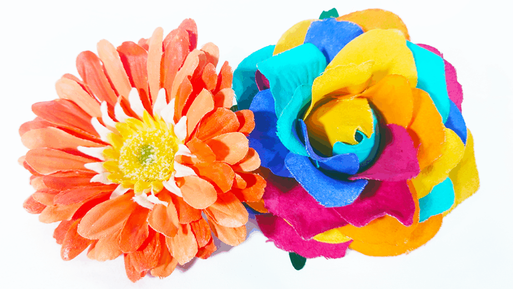 カラーコード指定／オリジナルカラー／レインボー／Yatsugi Flower Dye Lab（八ツ木フラワーダイラボ）