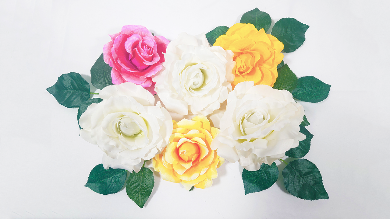 オリジナルカラー／ビックフラワー／花材販売／Yatsugi Flower Dye Lab（八ツ木フラワーダイラボ）