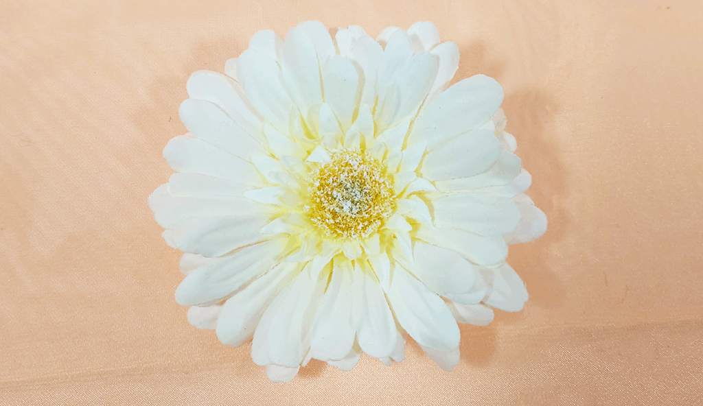 花材指定／ガーベラ／Yatsugi Flower Dye Lab（八ツ木フラワーダイラボ）